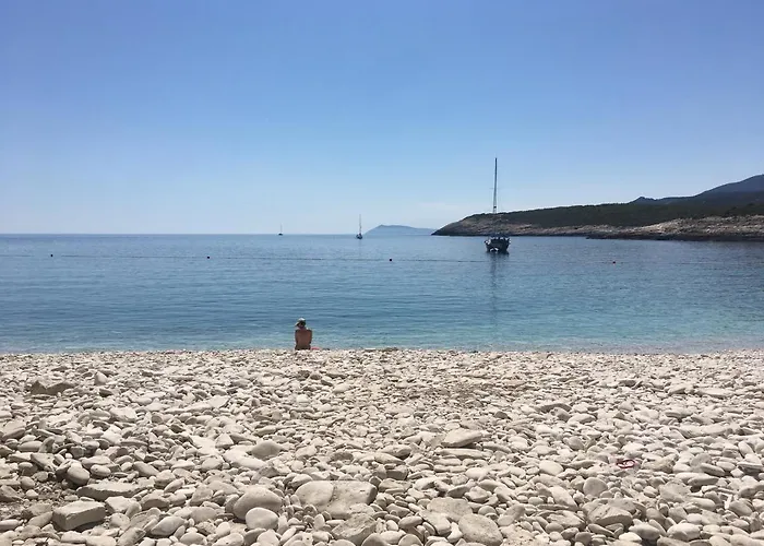 Ada * Vis